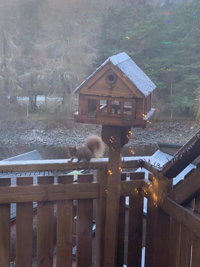 Beautiful 2 Bedroom Lodge With Stunning Views Blair Atholl Dış mekan fotoğraf